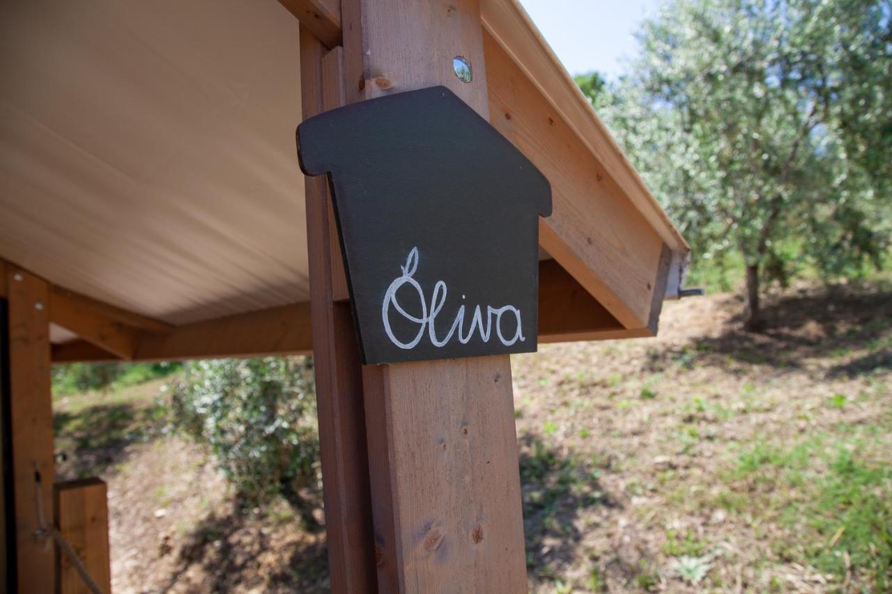 Agriturismo Podere Prataccio Grosseto Exterior photo