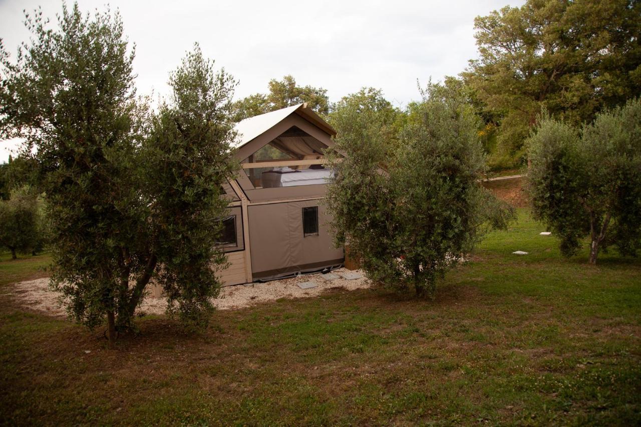 Agriturismo Podere Prataccio Grosseto Exterior photo